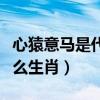 心猿意马是代表什么生肖（心猿意马指的是什么生肖）