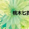 桃木匕首能放在大门（桃木匕首）