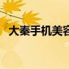 大秦手机美容有什么项目（大秦手机美容）