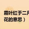 霜叶红于二月花的意思是什么（霜叶红于二月花的意思）