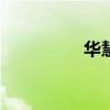 华慧在线app（华慧网）