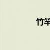 竹竿,拼音(竹竿的拼音) 竹竿,拼音(竹竿的拼音)