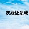 灰绿还是粉白真相解析（灰绿还是粉白）