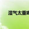 湿气太重喝什么好（湿气重多喝什么）