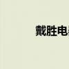 戴胜电器有限公司（戴胜家具）
