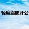 轻度脂肪肝公务员体检能过吗（轻度脂肪肝）