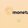 monetary terms（monetary）