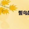 誓鸟的含义是什么?（誓鸟）