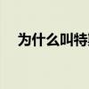 为什么叫特斯拉线圈（为什么叫特斯拉）