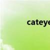 cateye码表说明书（cat eye）