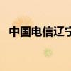 中国电信辽宁分公司官网(中国电信辽宁) 中国电信辽宁分公司官网(中国电信辽宁)