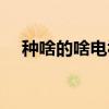 种啥的啥电视剧在那里拍的（种啥的啥）