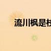 流川枫是校草吗（校花隔壁的流川枫）