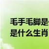 毛手毛脚是什么生肖20210解释（毛手毛脚是什么生肖）