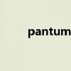 pantum p1050打印机装什么驱动