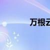 万根云服务器（万根云主机）