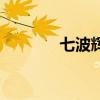 七波辉加盟费（七波辉加盟）