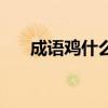 成语鸡什么鸭什么成语（鸡鸭的成语）