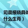 司晨报晓具体是哪个生肖（司晨报晓的动物是什么生肖）