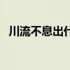 川流不息出什么生肖（川流不息打一生肖）