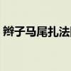 辫子马尾扎法图解步骤（马尾辫的扎法图解）