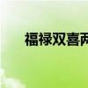 福禄双喜两全保险分红型（福禄双喜）