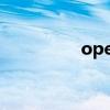 open relationship翻译