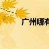 广州哪有蹦极的（广州哪有蹦极）