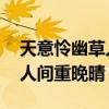 天意怜幽草人间重晚晴的哲理（天意怜幽草 人间重晚晴）