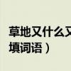 草地又什么又什么组词（又什么又什么的草地填词语）