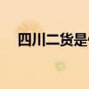 四川二货是什么意思（二货是什么意思）