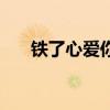 铁了心爱你刘德华歌词（铁了心爱你）