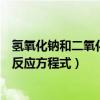 氢氧化钠和二氧化碳反应方程式离子（氢氧化钠和二氧化碳反应方程式）