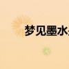 梦见墨水是什么意思（梦见喝墨水）