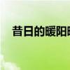 昔日的暖阳映小溪河畔的水中我和你文案