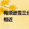 梅须逊雪三分白雪却输梅一段香的意思是什么相近