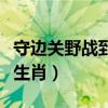 守边关野战到底是什么生肖（野战到底是什么生肖）