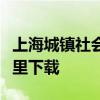 上海城镇社会保险年度单位平均工资申报表哪里下载
