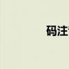 码注音组词（码组词拼音）