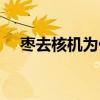 枣去核机为什么是腰部打孔（枣去核机）