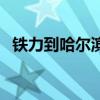 铁力到哈尔滨火车站（铁力到哈尔滨火车）