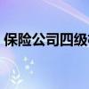 保险公司四级机构负责人（四级机构负责人）