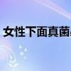女性下面真菌感染怎么办（真菌感染怎么办）