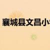 襄城县文昌小学东城校区（襄城县文昌小学）