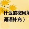什么的微风填词语补充二年级（什么的微风填词语补充）