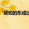 琥珀的形成过程简略图（琥珀的形成过程）