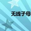 无线子母机存取电话（无线子母机）
