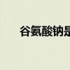 谷氨酸钠是什么添加剂（谷氨酸发酵）