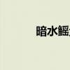暗水鳐鱼怎么获得（暗水鳐鱼）