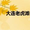 大连老虎滩都有哪些景点(大连老虎滩) 大连老虎滩都有哪些景点(大连老虎滩)